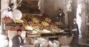 عکس رنگی مربوط به میوه فروشی در همدان